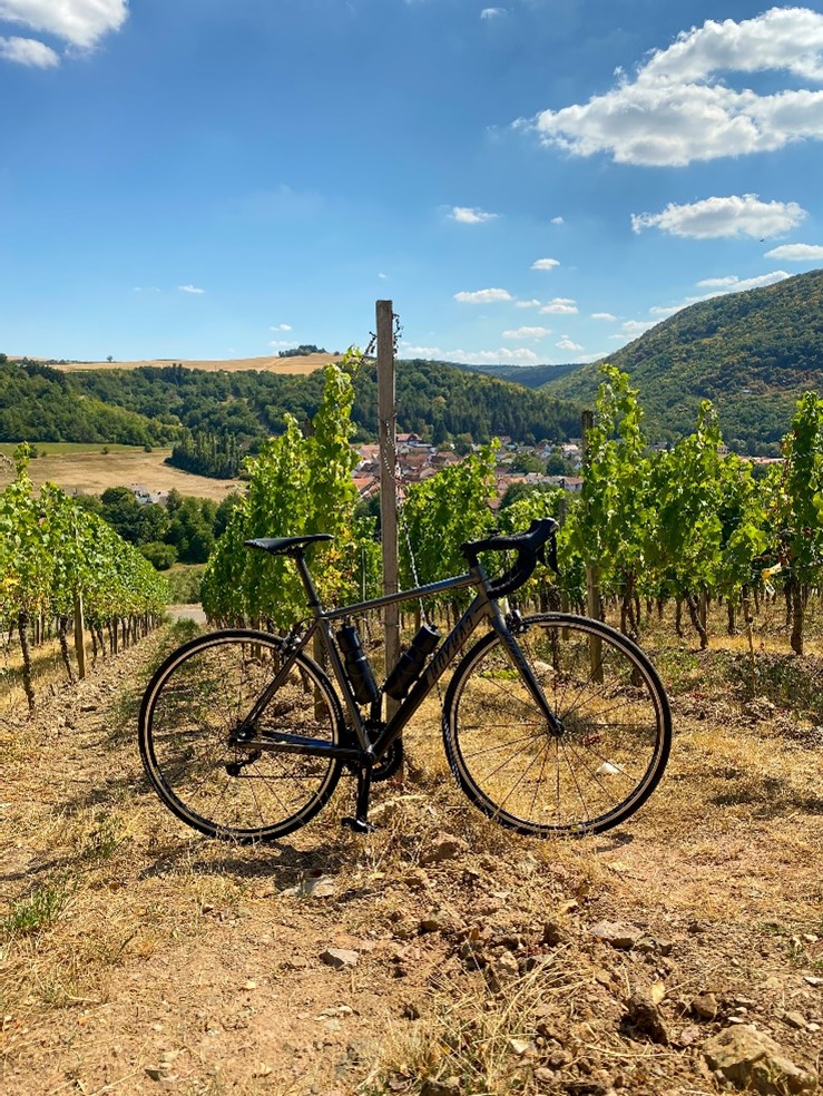 bikewine1