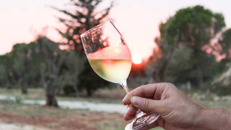 8 Reasons Why Croatia Should be Your Next Food & Wine Destination